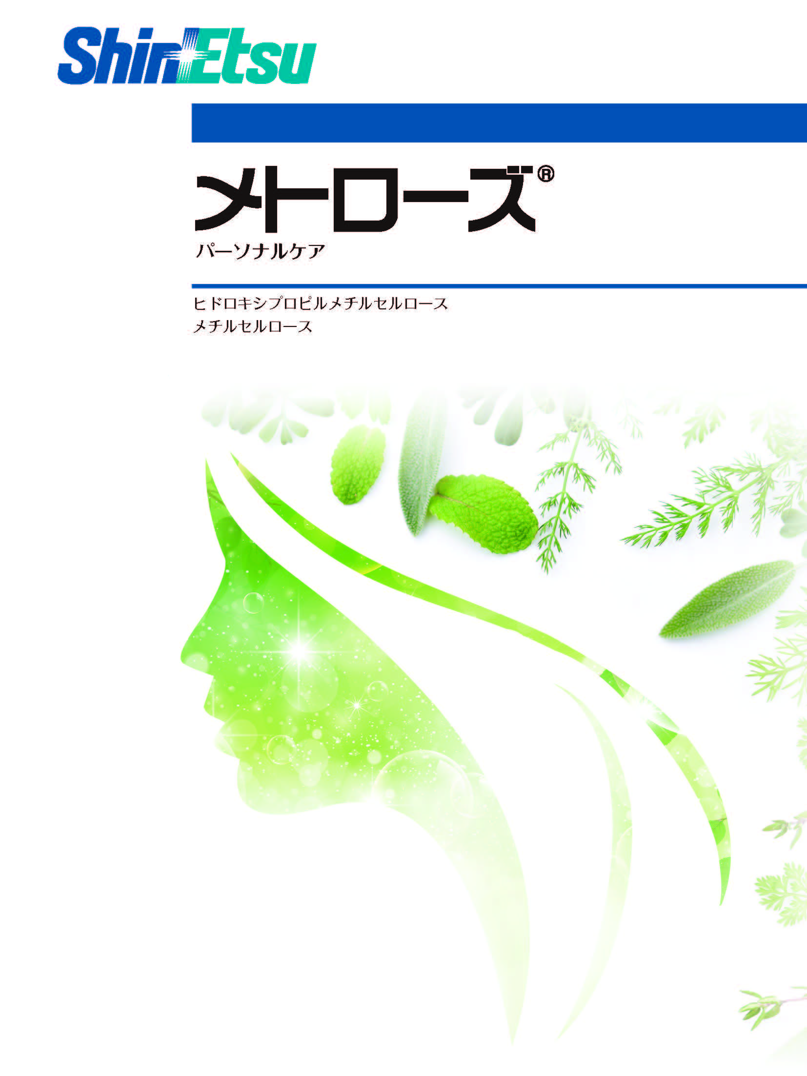 PDF 版